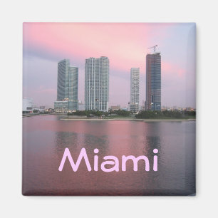 Miami Magnet