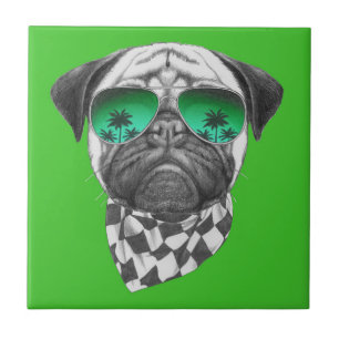 Miami-Mops Fliese
