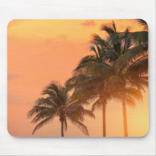 Miami-Palmen Mousepad