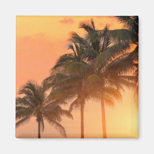 Miami Palms Magnet (Vorne)