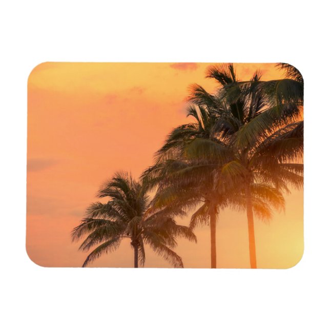Miami Palms Magnet (Horizontal)