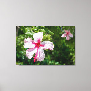 Miami Pink Hibiskus Tropische Blume Bloom Leinwanddruck