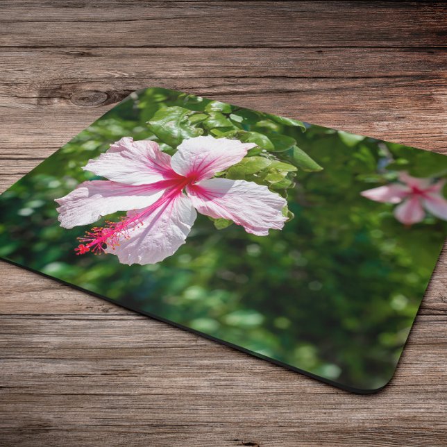 Miami Pink Hibiskus Tropische Blume Bloom Mousepad (Von Creator hochgeladen)