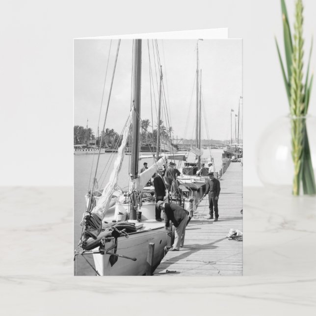 Miami Sailboats, 1905 Karte (Vorderseite)