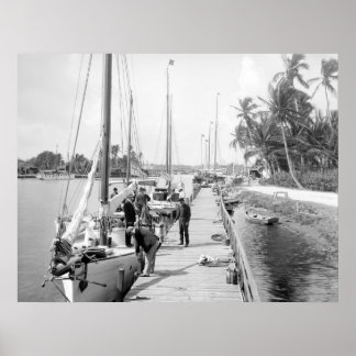 Miami Sailboats, 1905 Poster