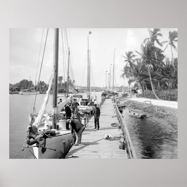 Miami Sailboats, 1905 Poster (Vorne)