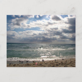 Miami Series Postkarte