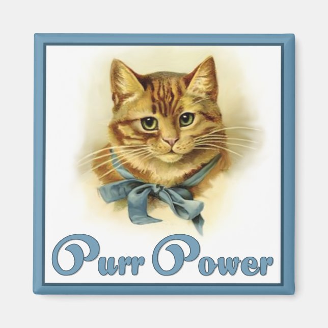 Miau-Power Magnet (Vorne)