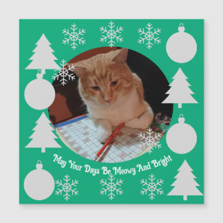 Miauig und hell, Katzenfoto, Weihnachtsmagnetkarte Magnetkarte