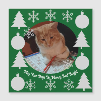 Miauige und helle Katzenfoto-Weihnachtsmagnetkarte Magnetkarte