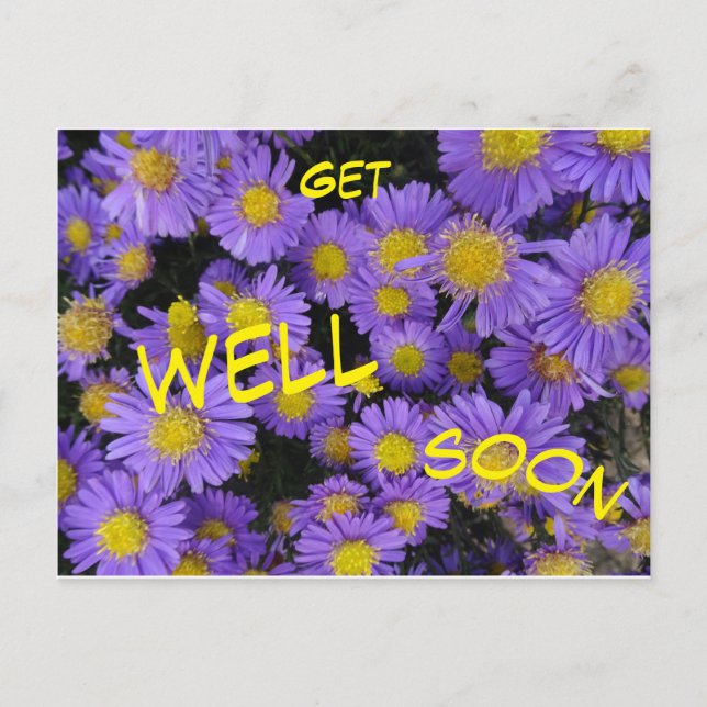 Michaelmas Daisy Cust Schnelle Postkarte (Vorderseite)