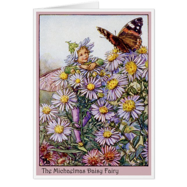 Michaelmas Daisy Fairy (Vorne)