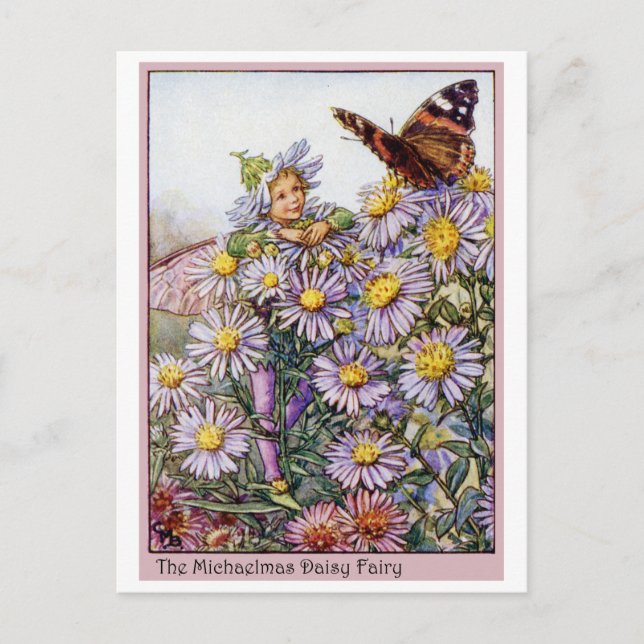 Michaelmas Daisy Fairy Postkarte (Vorderseite)