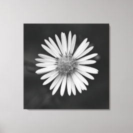 Michaelmas Daisy Flower Canvas Print Leinwanddruck
