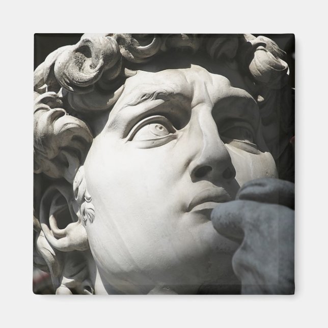 Michelangelo’s David Magnet (Vorne)