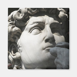 Michelangelos David Magnet