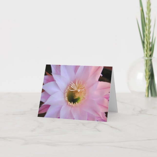 Michelle-Kakteen-Blume Dankeskarte (Vorderseite)