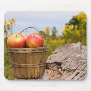 Michigan Apples Mousepad
