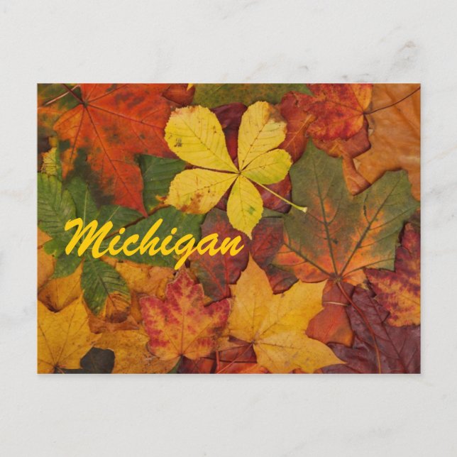Michigan Autumn Leaves Postcard Postkarte (Vorderseite)