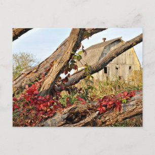 Michigan Barn and Fall Color Postkarte