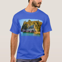 MICHIGAN - BILDERROCKEN-T - SHIRT