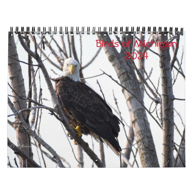 Michigan Birds 2024 Kalender (Titelbild)