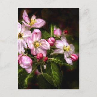 Michigan Blooms Postcard Postkarte