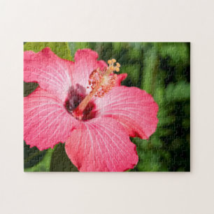 Michigan, Dearborn. Detail des rosa Hibiskus Puzzle