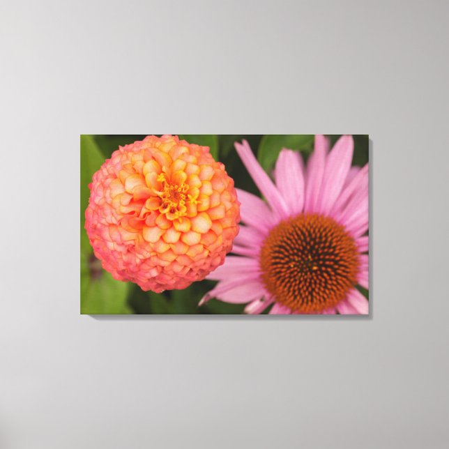 Michigan, Dearborn, Greenfield Village. Pfirsich Leinwanddruck (Vorderseite)