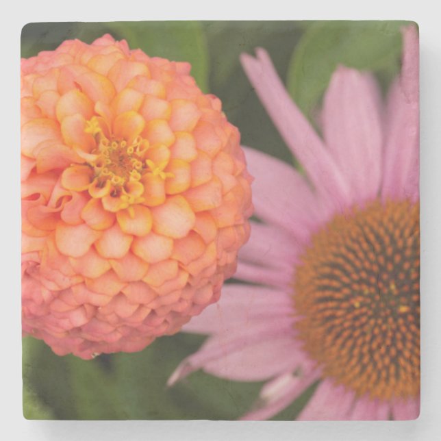 Michigan, Dearborn, Greenfield Village. Pfirsich Steinuntersetzer (Vorderseite)