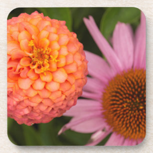 Michigan, Dearborn, Greenfield Village. Pfirsich Untersetzer