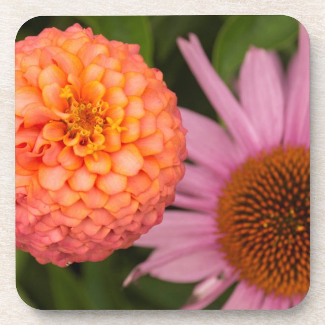 Michigan, Dearborn, Greenfield Village. Pfirsich Untersetzer (Vorderseite)