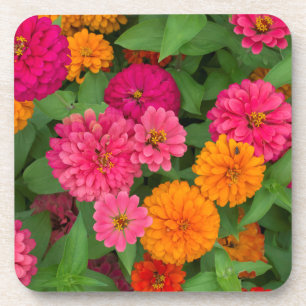 Michigan, Dearborn, Greenfield Village.Von Nahem Untersetzer