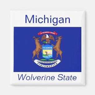 Michigan Flag Magnet