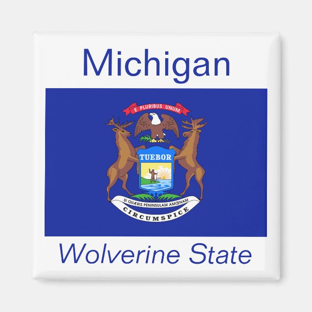 Michigan Flag Magnet (Vorne)