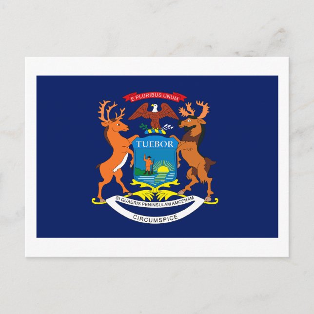 Michigan Flag Postcard Postkarte (Vorderseite)
