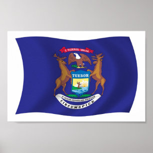 Michigan Flag Poster Print