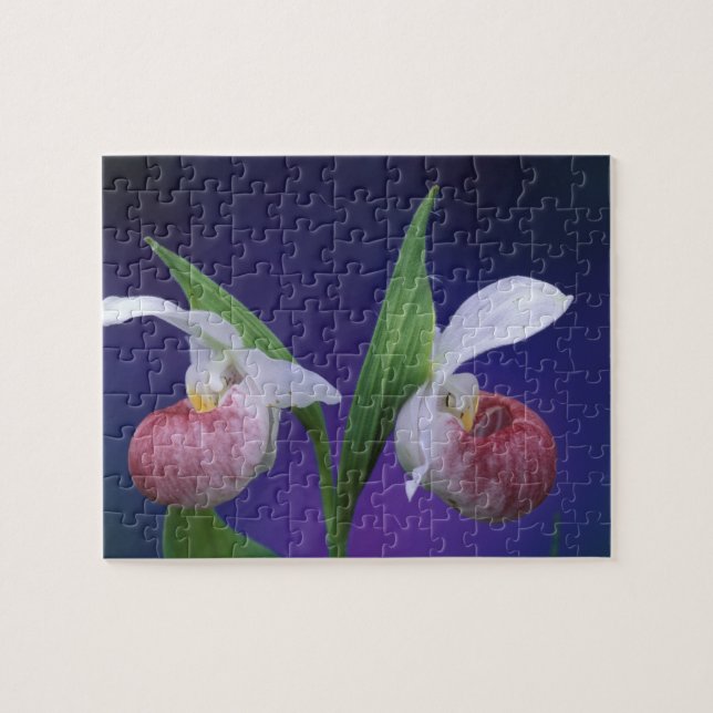 Michigan, Nationalpark auf der Halbinsel Bruce.Sch Puzzle (Horizontal)