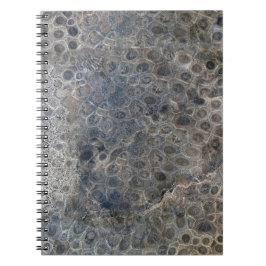 Michigan Petoskey Stone Pattern Notizblock