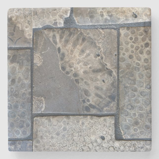 Michigan Petoskey Stone Untersetzer (Vorderseite)