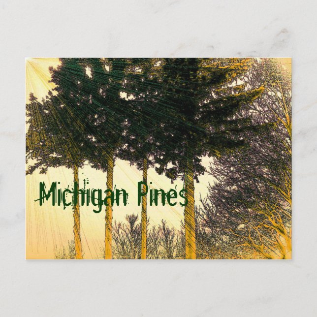 Michigan Pines Postcard Postkarte (Vorderseite)