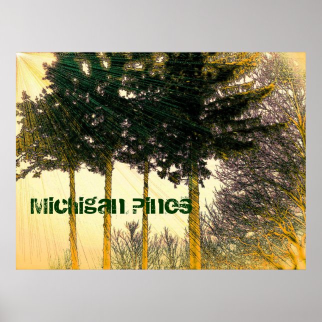 Michigan Pines Poster (Vorne)