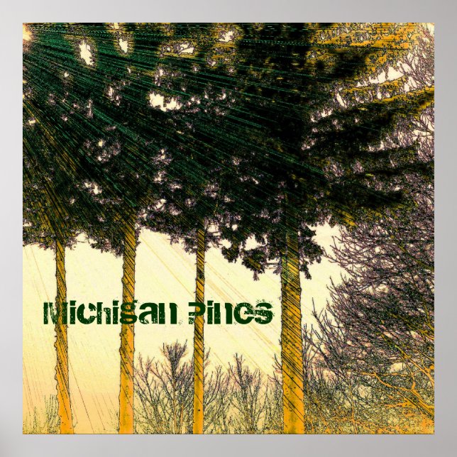 Michigan Pines Poster (Vorne)