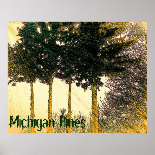 Michigan-Pinien-Plakat Poster (Vorne)