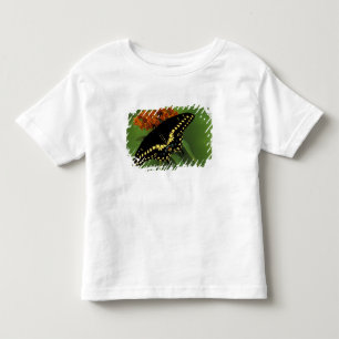 Michigan, Rochester. Amerikanischer Östlicher Schw Kleinkind T-shirt