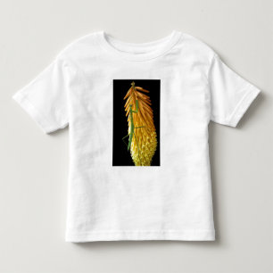 Michigan, Rochester Hills. Gottesanbeterin auf Rot Kleinkind T-shirt