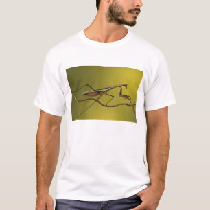 Michigan, Rochester Hills. Gottesanbeterin T-Shirt