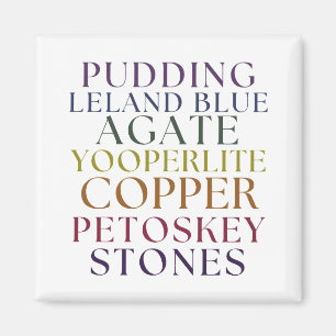 Michigan Rockhound Agate Petoskey Stone Magent Magnet