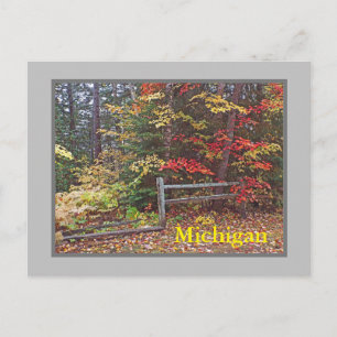 "MICHIGAN"/SPLIT-SCHIENENZENTRUM UND -FARBEN" POSTKARTE