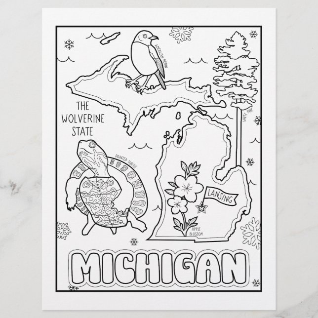 michigan Staat form and fakt colour page Flyer (Vorne)